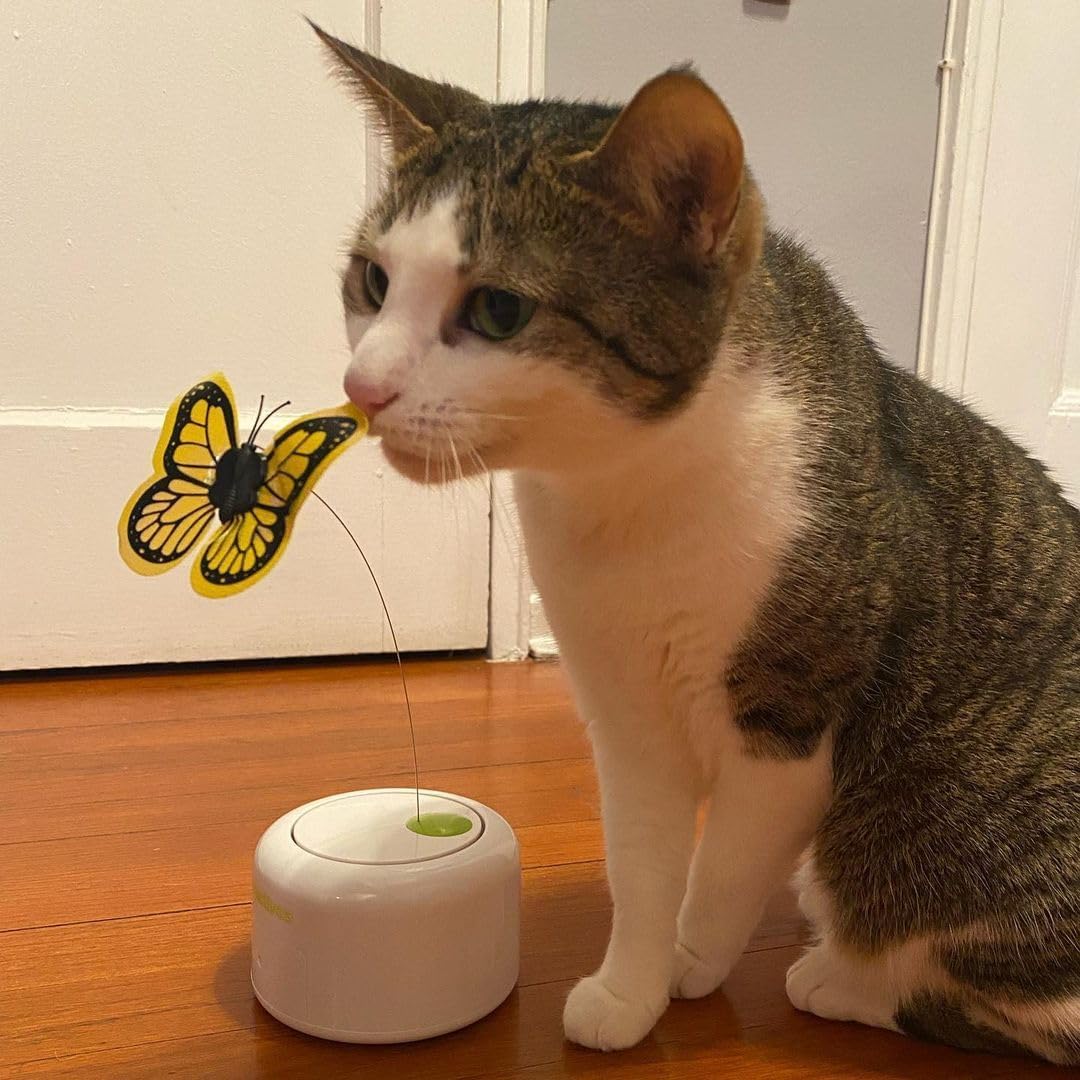 Interactives - Motion Activate Cat Toys Butterfly Flutter Bug