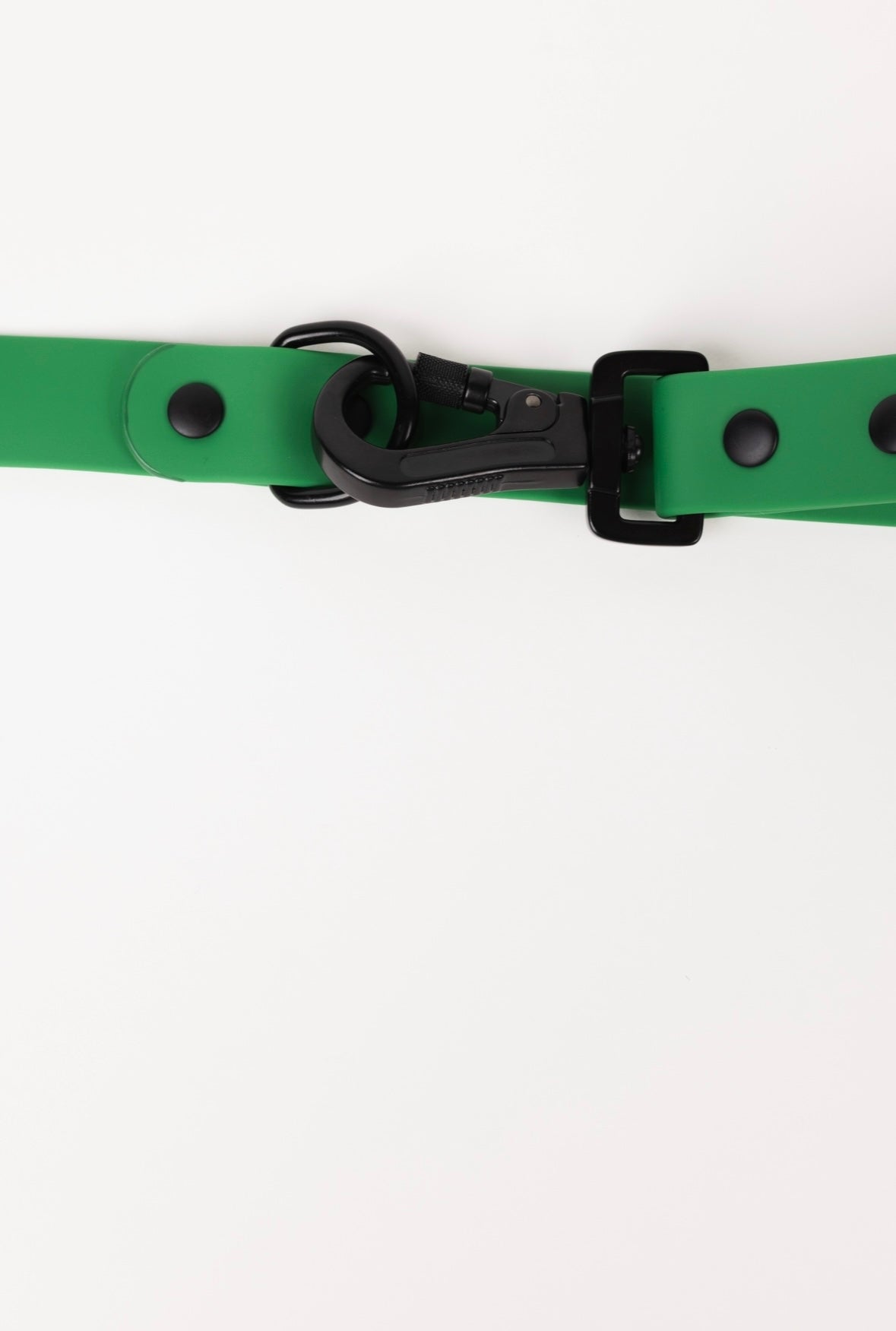 The Modern Dog Company - Clover Green Leash