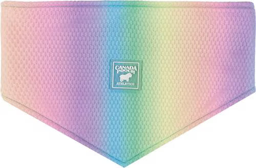Canada Pooch Cooling Dog Bandana, Rainbow