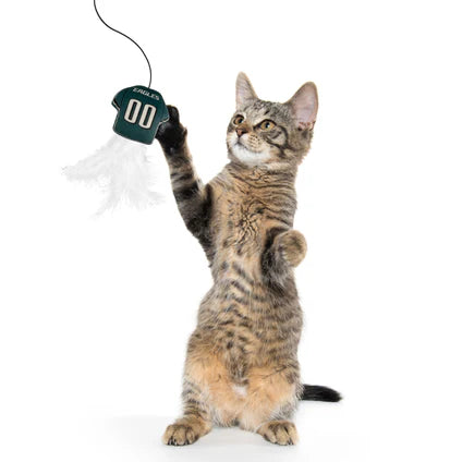 Philadelphia Eagles Cat Wand Toy