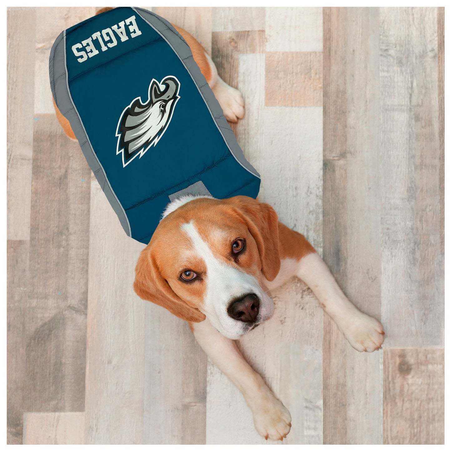 Philadelphia Eagles Puffer Vest