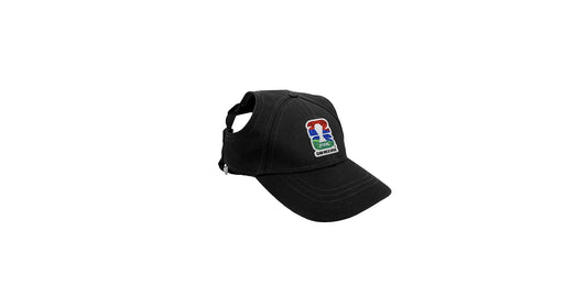 Littlearth Pet Soccer Hat – Officially Licensed FIFA 2026