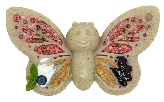 Butterfly Nylon Chew & Enrichment Toy | 2-in-1 for Aggressive Chewers | SodaPup