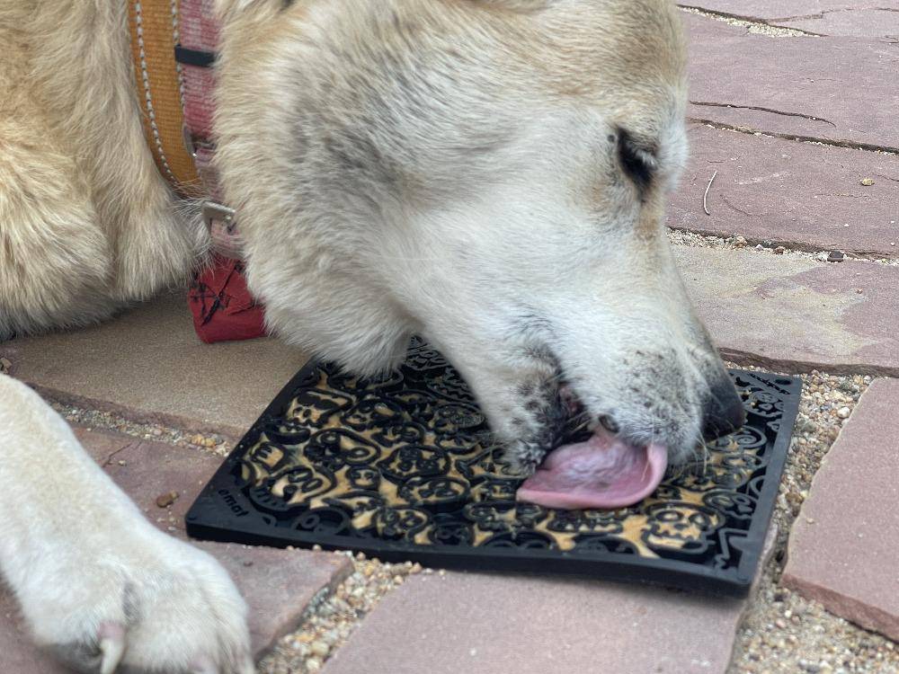 Zombie eMat - Enrichment Lick Mat for Dogs and Cats | Halloween Skull Design | SodaPup